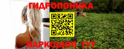 бошки Краснознаменск