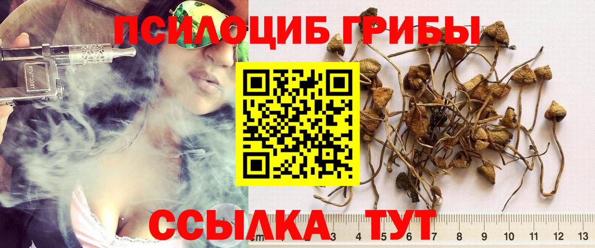 Псилоцибиновые грибы MAGIC MUSHROOMS Юрга