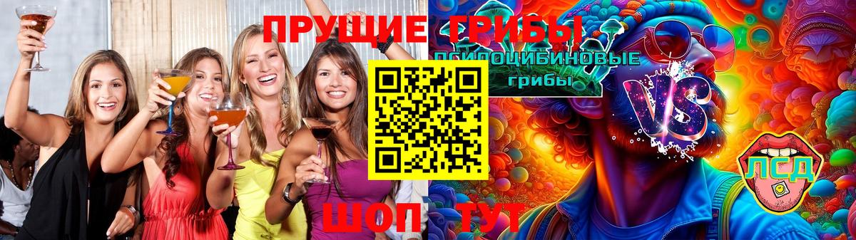Псилоцибиновые грибы Psilocybe  Вход с VPN  Юрга 