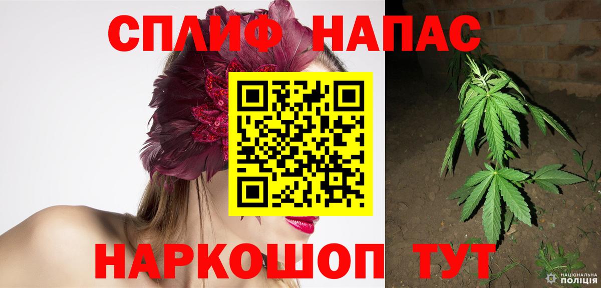 Юрга  Конопля Ganja  Вход с VPN  Бошки марихуана индика  Каннабис планчик  Бошки марихуана MAZAR 